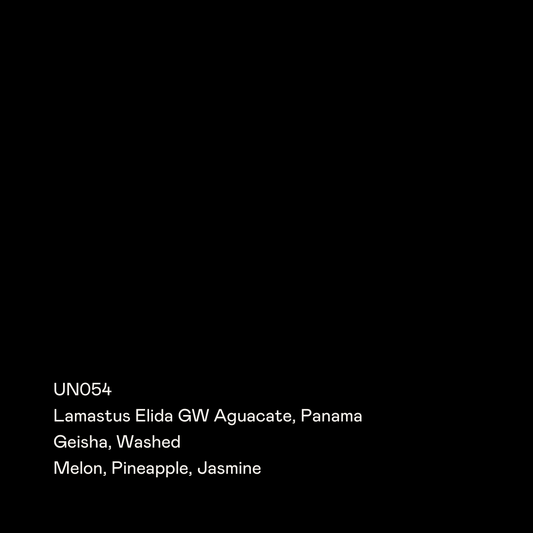 SPECIAL GUESTS - Lamastus Elida GW Aguacate | Panama - Washed - Geisha