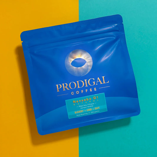 PRODIGAL - Nensebo G1 | Ethiopia - Natural - Ethiopia Heirloom Varieties