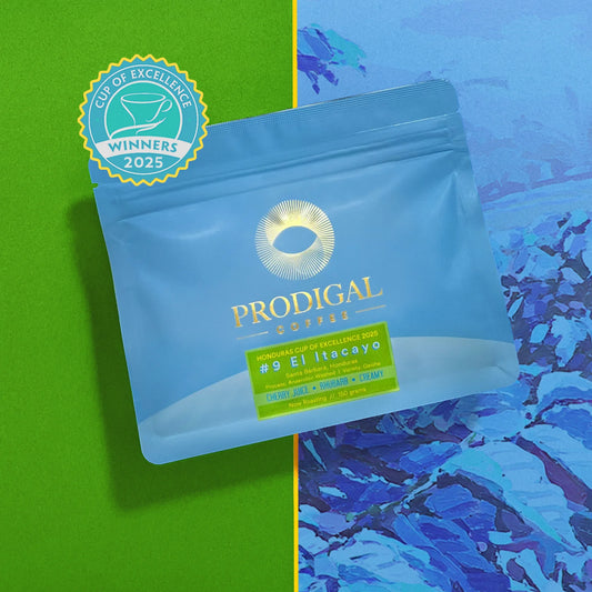 PRODIGAL - Cup of Excellence #9 El Itacayo | Honduras - Anaerobic Washed - Geisha