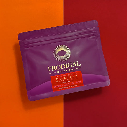 PRODIGAL - Ollancay | Peru - Washed - SL9