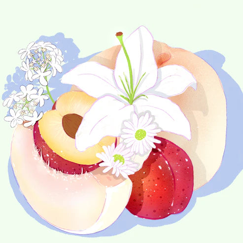 HYDRANGEA - Carmen Washed Gesha | Panama - Washed - Gesha