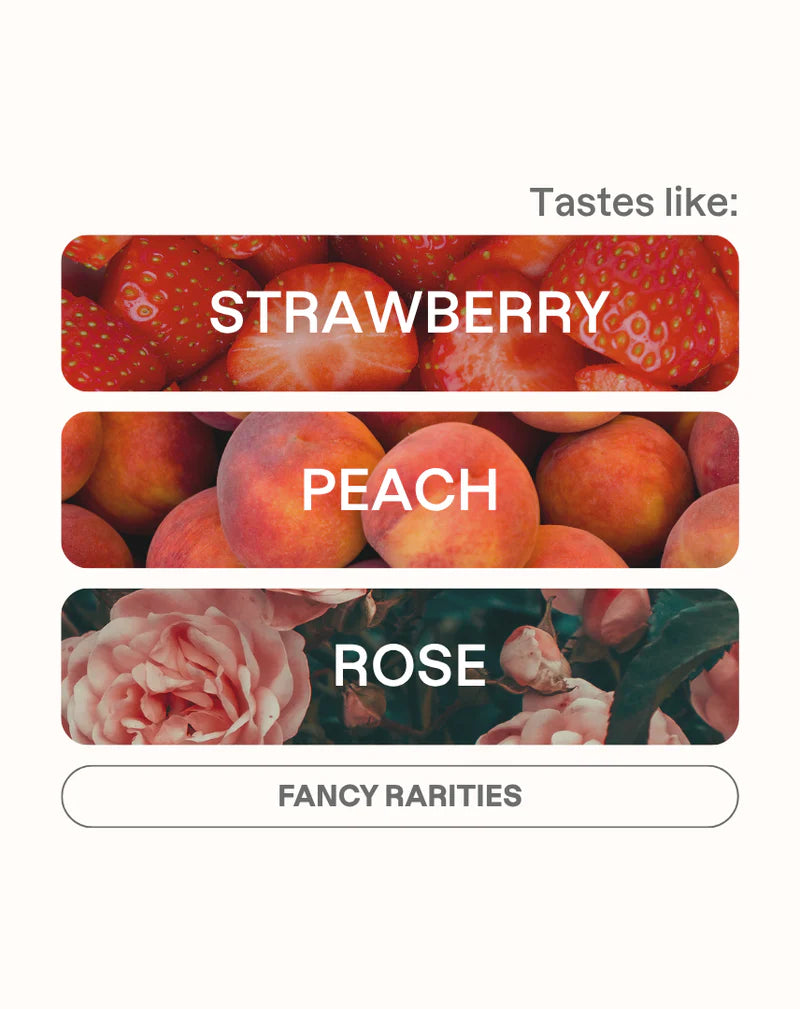 MONOGRAM - Deborah Afterglow | Panama - Natural - Geisha