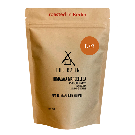 THE BARN - Himalaya Marsellesa {Filter} | El Salvador - Anaerobic Natural - Marsellesa