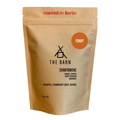 THE BARN - Shantawene Anaerobic {Filter} | Ethiopia - Anaerobic - Mixed Heirloom