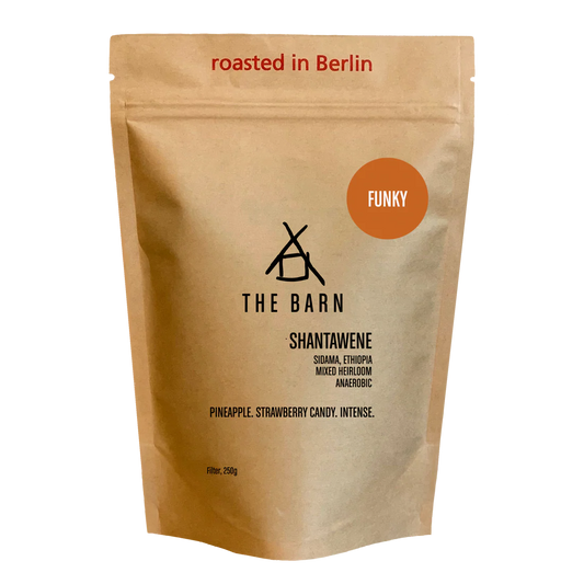 THE BARN - Shantawene Anaerobic {Filter} | Ethiopia - Anaerobic - Mixed Heirloom