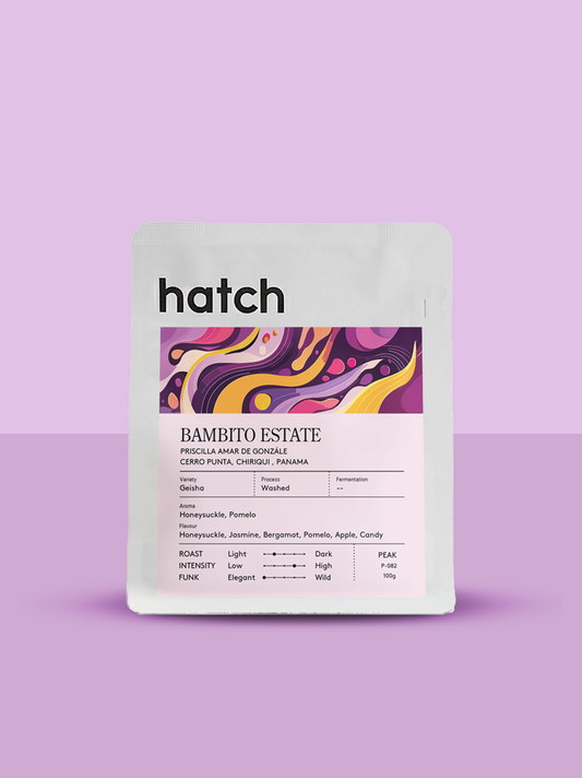 HATCH - Bambito Estate | Panama - Washed - Geisha