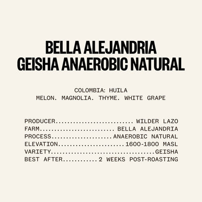ETHICA - Spectrum - Bella Alejandria | Colombia - Anaerobic Natural - Geisha