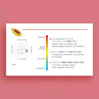 LILO - Eldorado "Back Door Man" | Brazil - Washed - Catuai 99