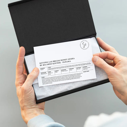 STANDOUT - Kotowa Las Brujas | Panama - Honey - Gesha