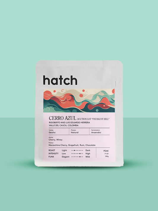 HATCH - CGLE Cerro Azul Auction Lot “Patascoy Hill” | Colombia - Natural - Geisha