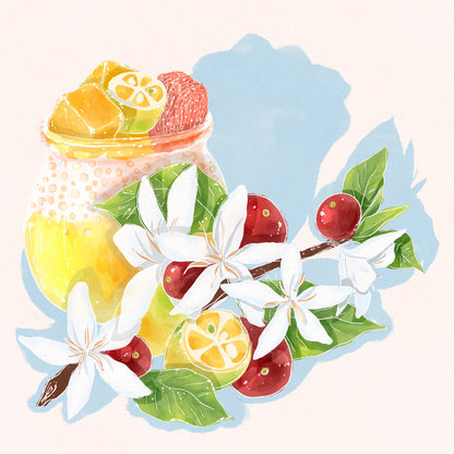 HYDRANGEA - Finca Hartmann Washed | Panama - Washed - Gesha