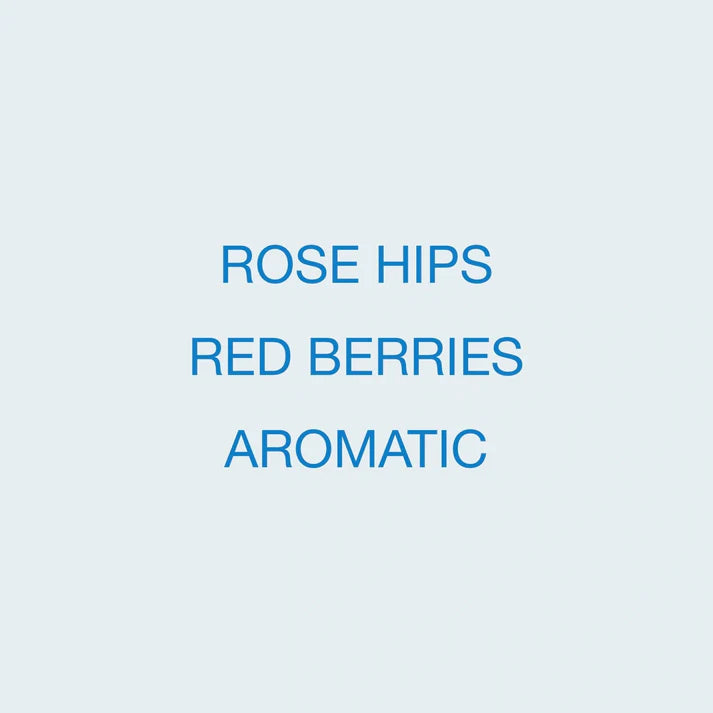 KOPPI - Finca El Placer | Colombia - Washed - Pink Bourbon