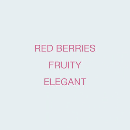 KOPPI - Finca La Fuente | Colombia - Washed - Pink Bourbon