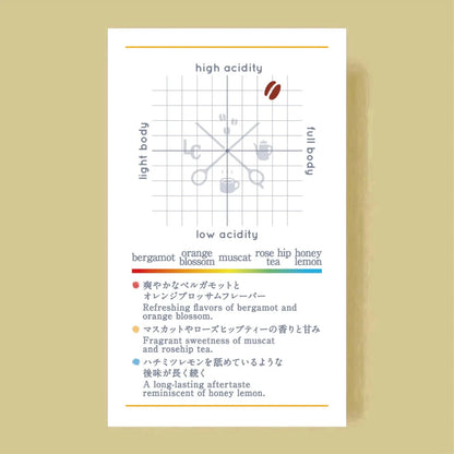 LILO - Juan Martin | Colombia - Washed - Pink Bourbon