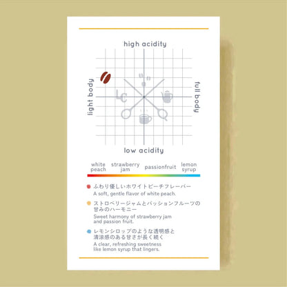 LILO - Colorful Blend ~Winter~