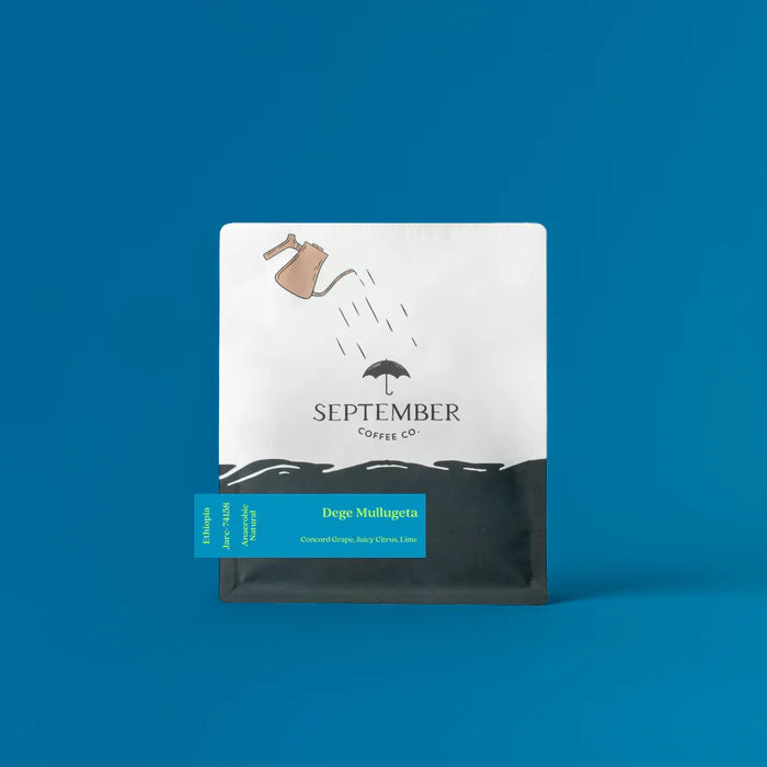 SEPTEMBER - Dege Mullugeta | Ethiopia - Anaerobic Natural - Jarc 74158