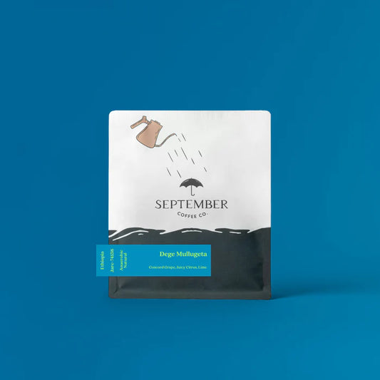 SEPTEMBER - Dege Mullugeta | Ethiopia - Anaerobic Natural - Jarc 74158