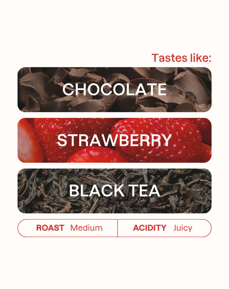 MONOGRAM - Elida Estate Filter | Panama - Natural - Catuai