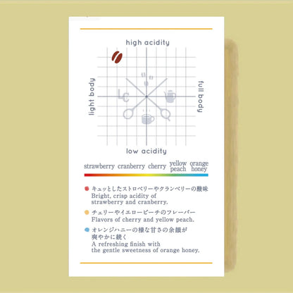 LILO - Karamo Niguse Gemeda Mude | Ethiopia - Natural - 74158