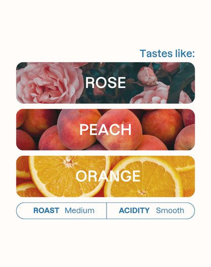 MONOGRAM - Decaf - Granja Paraiso 92 Filter | Colombia - Anaerobic Sugar Cane Decaf - Colombia