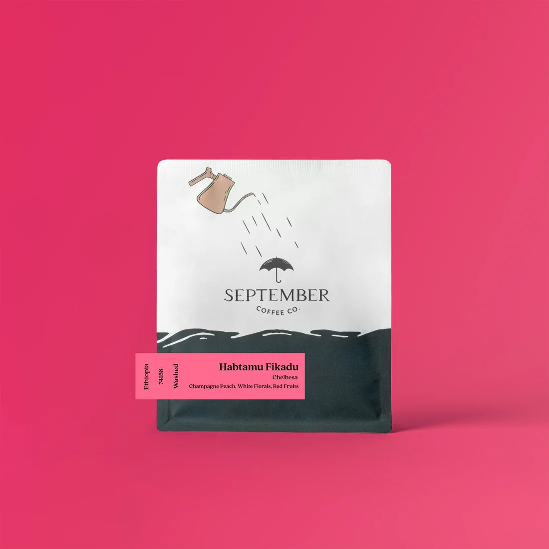 SEPTEMBER - Habtamu Fikadu Chelbesa | Ethiopia - Washed - 74110, 74158