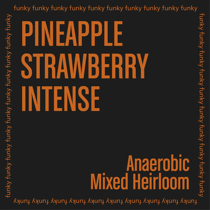 THE BARN - Shantawene Anaerobic {Filter} | Ethiopia - Anaerobic - Mixed Heirloom