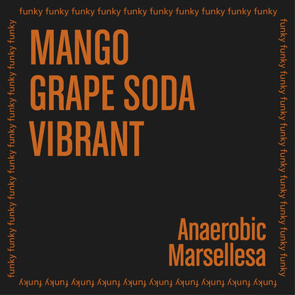 THE BARN - Himalaya Marsellesa {Filter} | El Salvador - Anaerobic Natural - Marsellesa