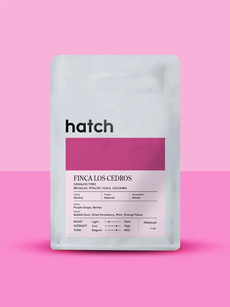HATCH - Finca Los Cedros | Colombia - Mosto Natural - Geisha