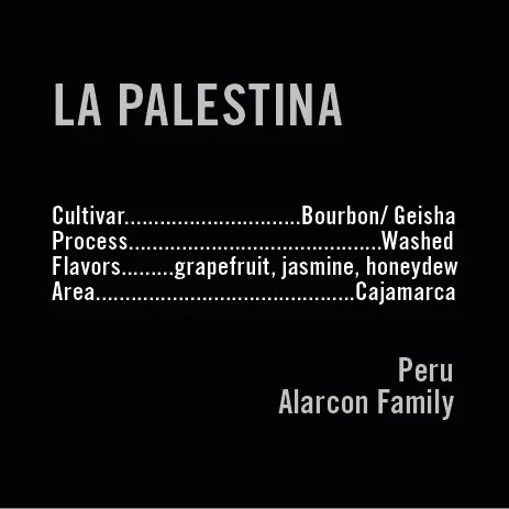 APOLLON'S GOLD - La Palestina | Peru - Washed - Bourbon, Geisha