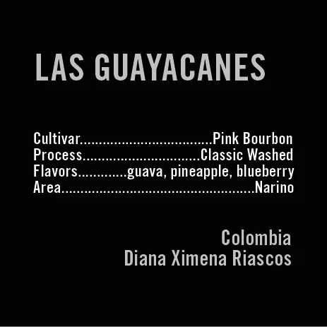 APOLLON'S GOLD - Las Guayacanes | Colombia - Washed - Pink Bourbon