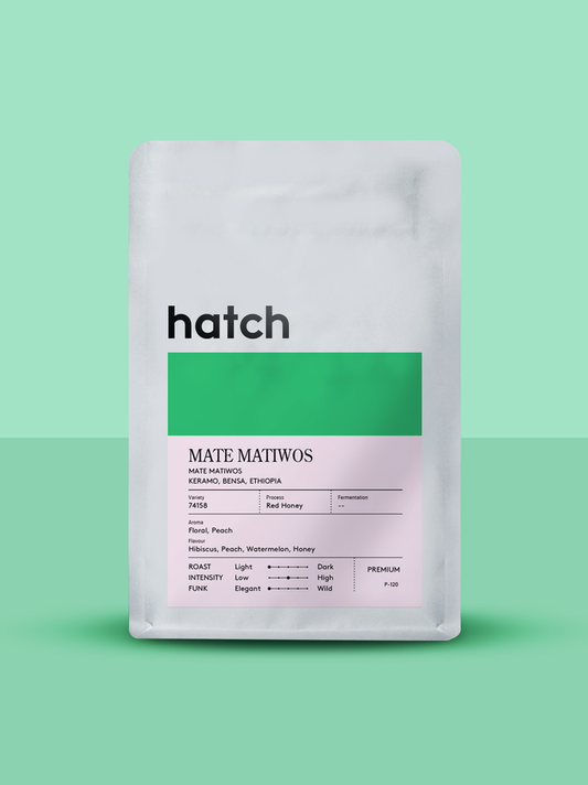 HATCH - Mate Matiwos | Ethiopia - Red Honey - 74158