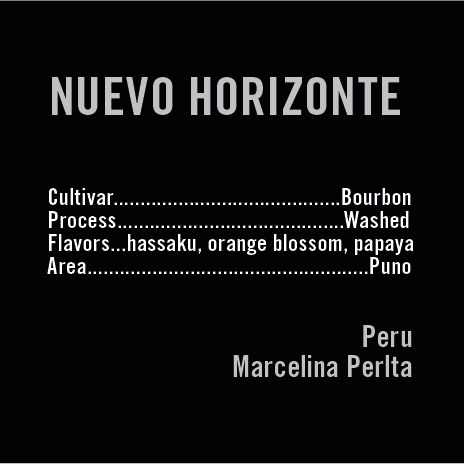 APOLLON'S GOLD - Nuevo Horizonte | Peru - Washed - Bourbon