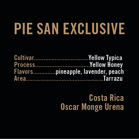 APOLLON'S GOLD - Pie San Exclusive Lot | Costa Rica - Yellow Honey - Yellow Typica