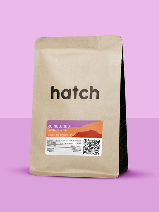 HATCH - Rumudamo | Ethiopia - Natural - Landraces