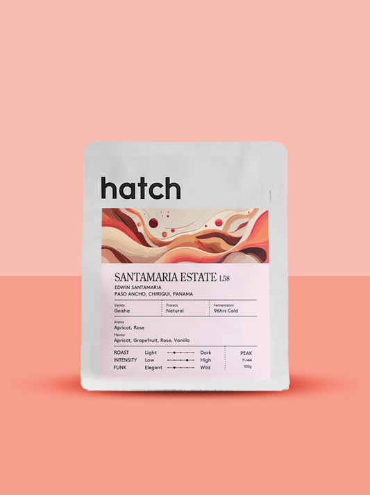 HATCH - Santamaria Estate L58 | Panama - Natural - Geisha