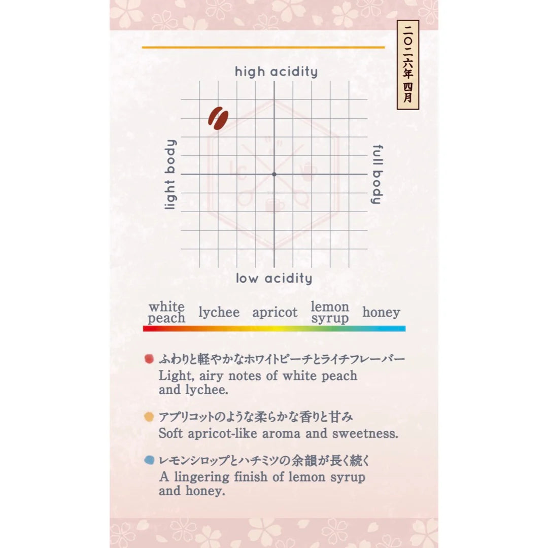 LILO - 【April Limited】Sakura-Gumo Blend (桜雲) [Light Roast]