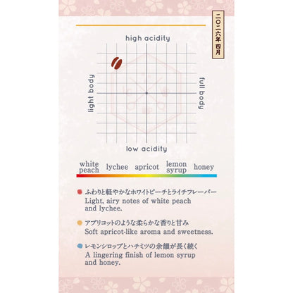 LILO - 【April Limited】Sakura-Gumo Blend (桜雲) [Light Roast]