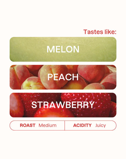 MONOGRAM - Alo Espresso | Ethiopia - Mosto Anaerobic Natural - Landrace