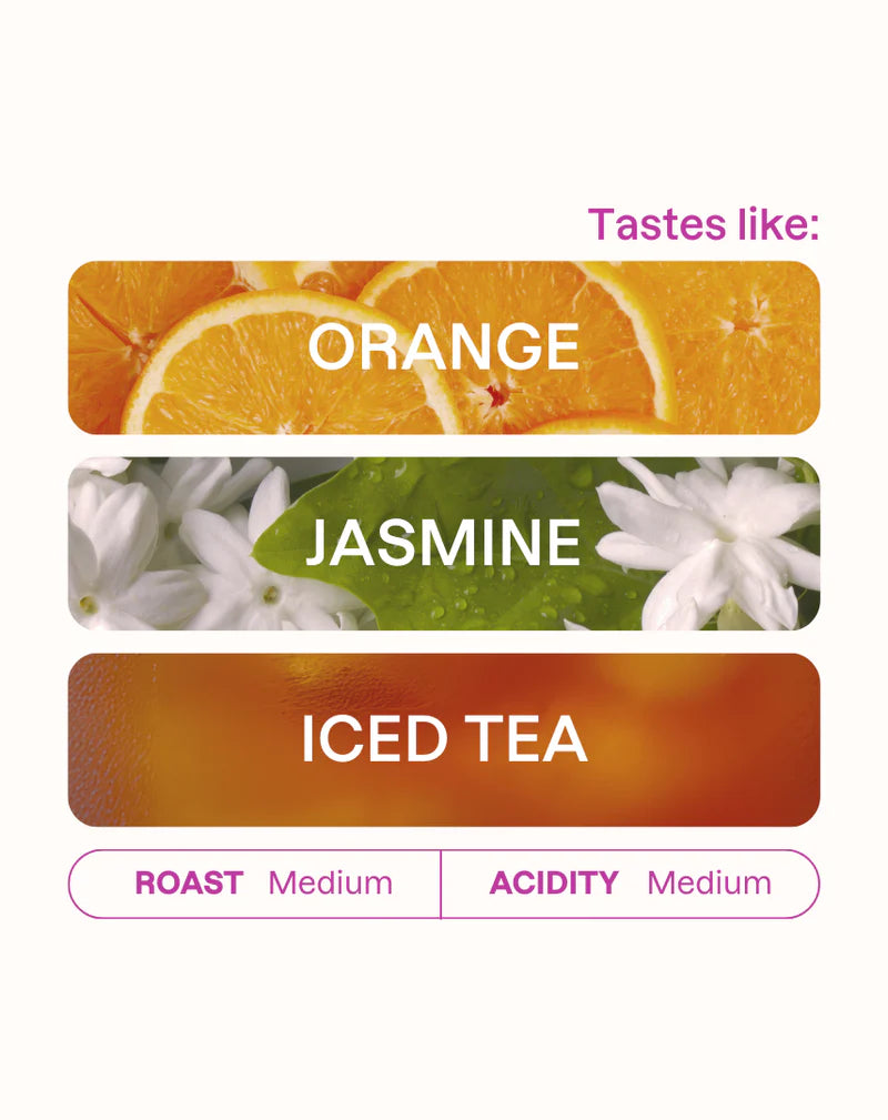 MONOGRAM - Alo Filter | Ethiopia - Extended Dry Washed - Landrace
